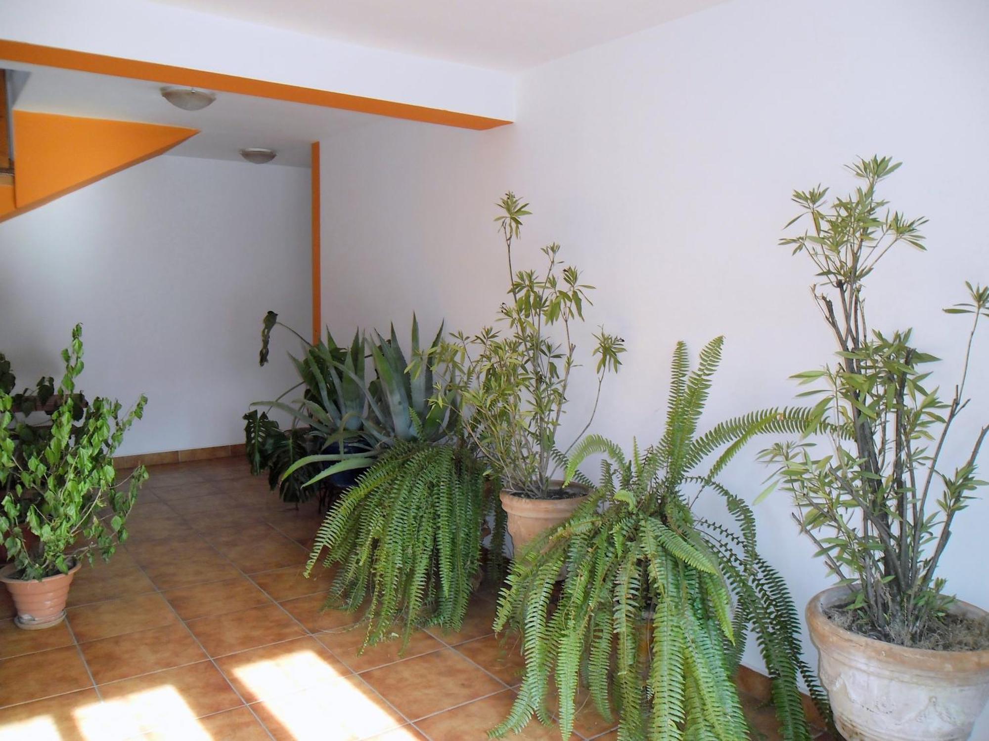 Pensiunea Hera 3* Sighişoara